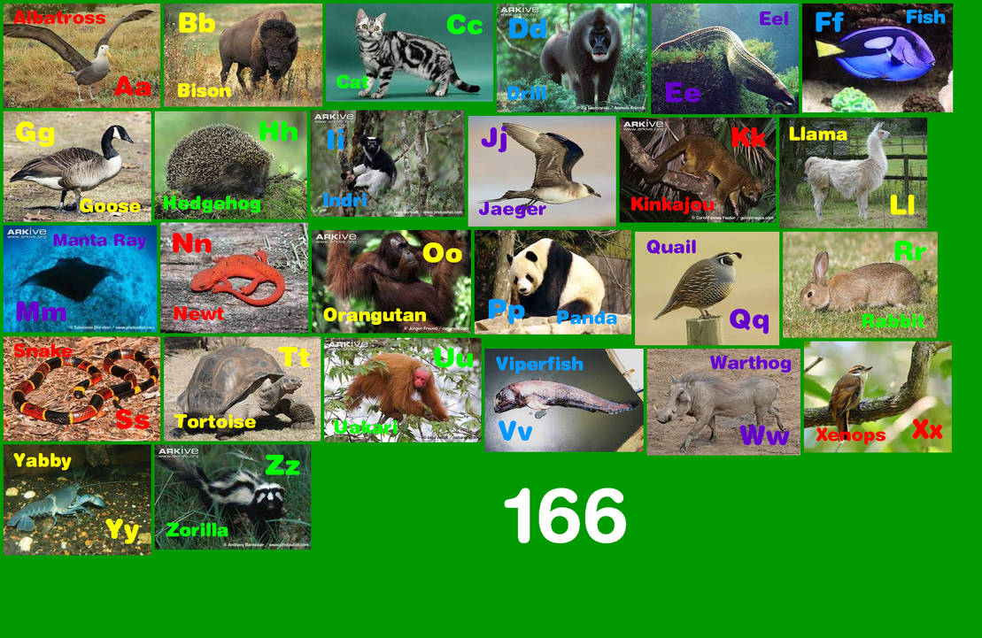 Animal Alphabet 166 by EmmettLovesAnimals on DeviantArt