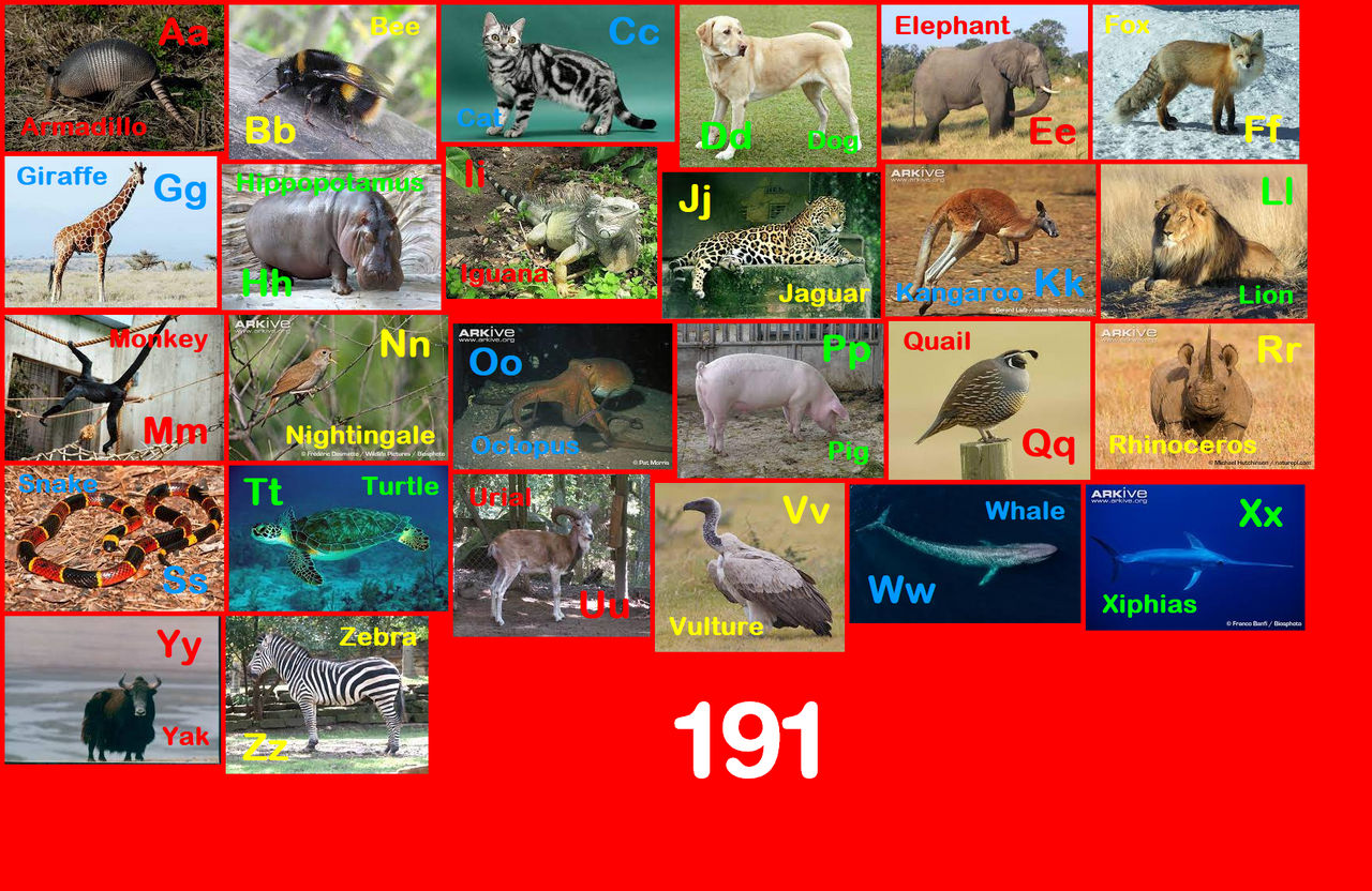 Animal Alphabet 191 by EmmettLovesAnimals on DeviantArt