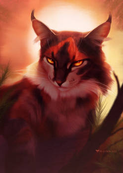 Sol