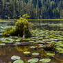 Arber lake / bavaria