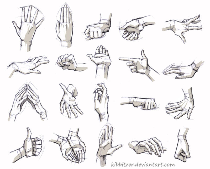 Hands Reference by Kibbitzer on DeviantArt