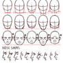 Face/Nose shapes reference