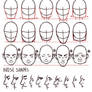 Face/Nose shapes reference