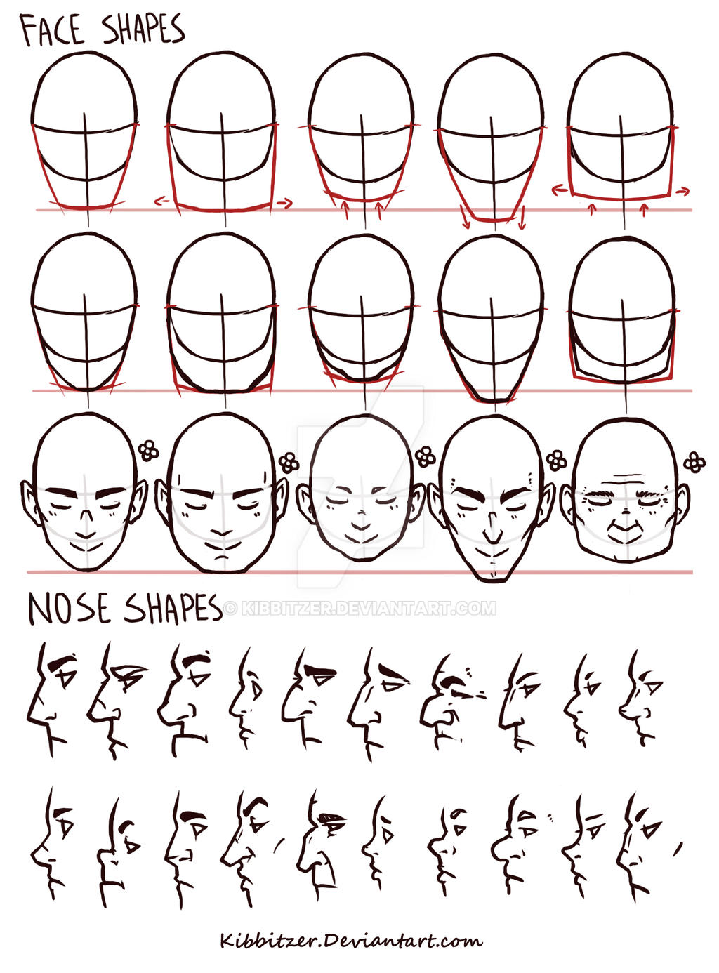 Face Shapes Drawing Rererence Face/Nose shapes reference by Kibbitzer on DeviantArt