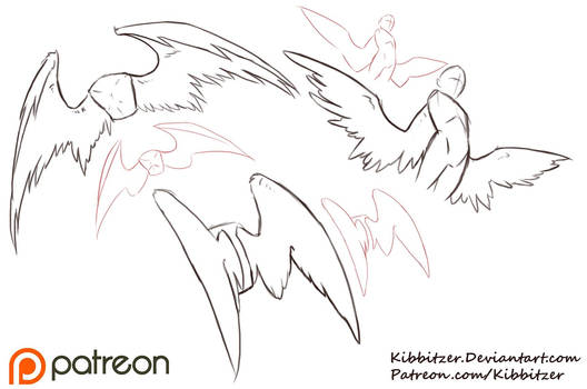 Wings Reference Sheet