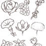 Flowers Reference Sheet