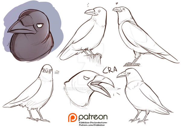 raven reference sheet by Kibbitzer on DeviantArt