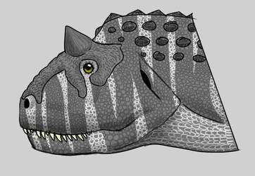 Carnotaurus Head