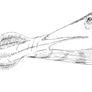 Old Ornithocheirus