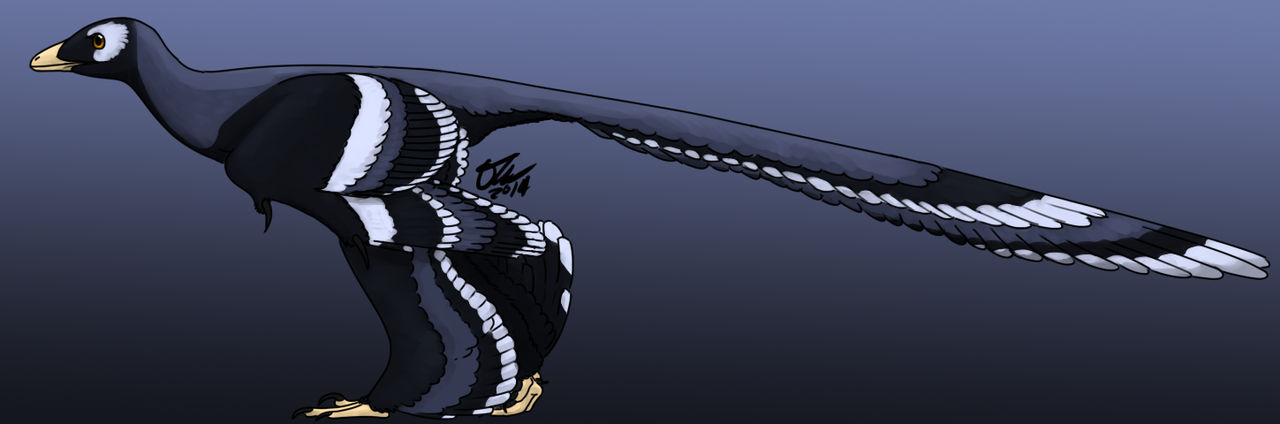 Chang Raptor Mode Changyuraptor by StygimolochSpinifer on DeviantArt