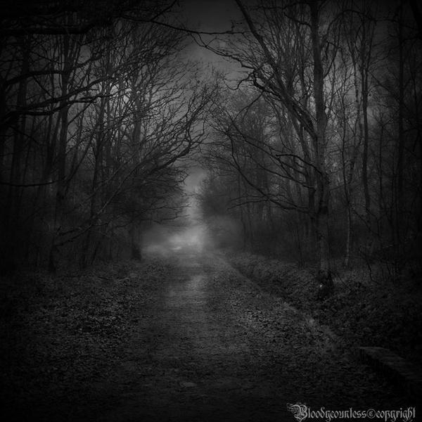 In the dark forest by CountessBloody