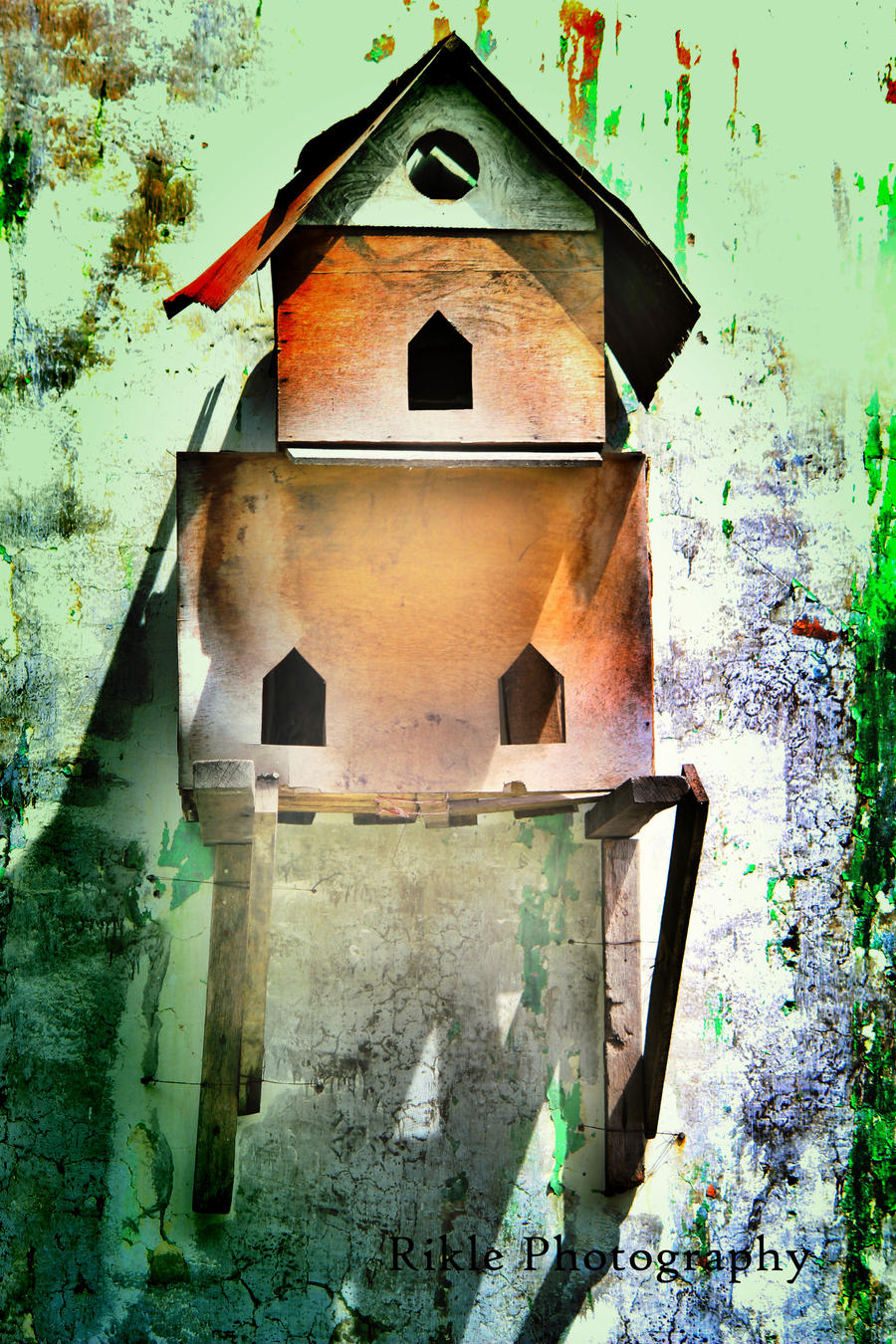 bird's house