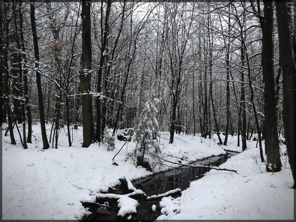 Cold Rivrrr .:DaRk CoLd RiVeR:. by IGNIS-BENZORN on DeviantArt