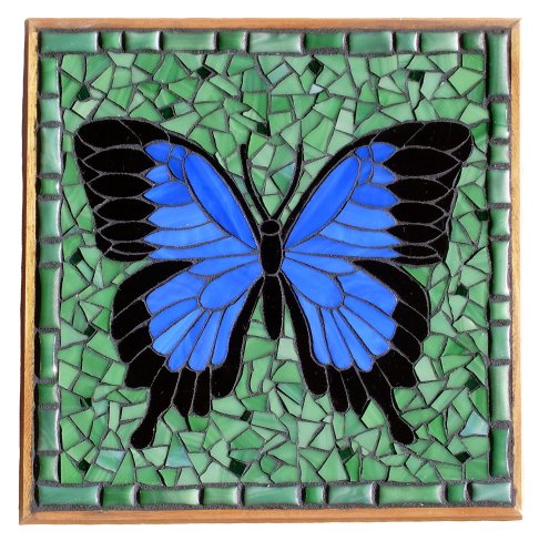 Ulysses Butterfly