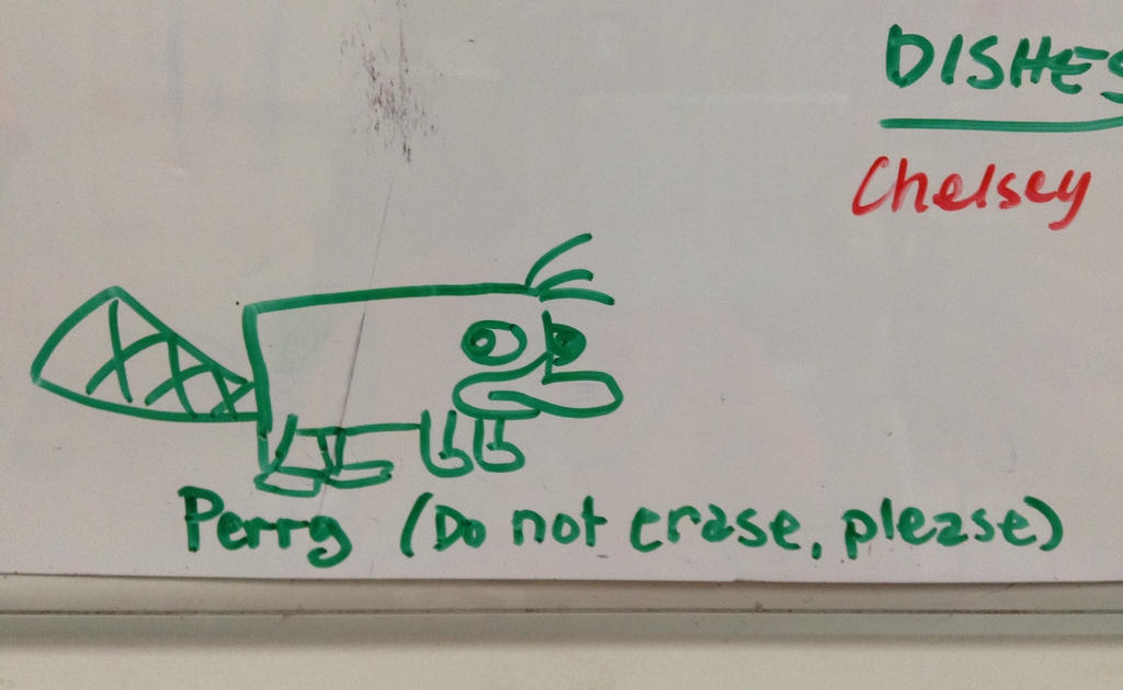 Perry on the Whiteboard