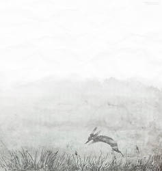 The Black Rabbit