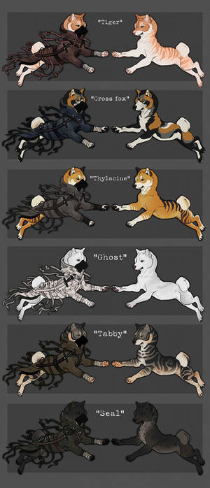 [ CLOSED ] Ninja Shibe Adoptables