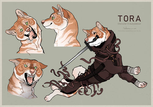 Tora - Model Sheet