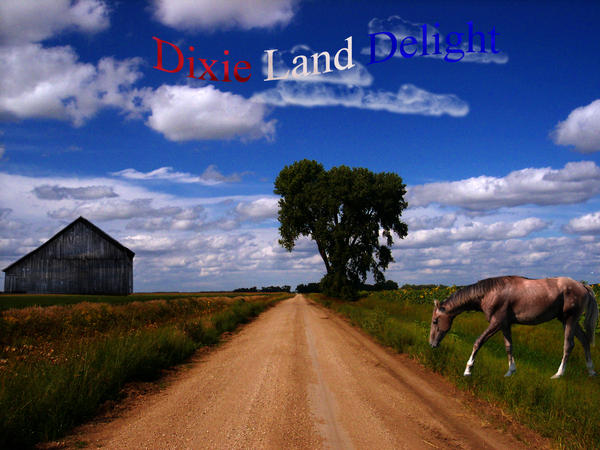 Dixie Land Delight