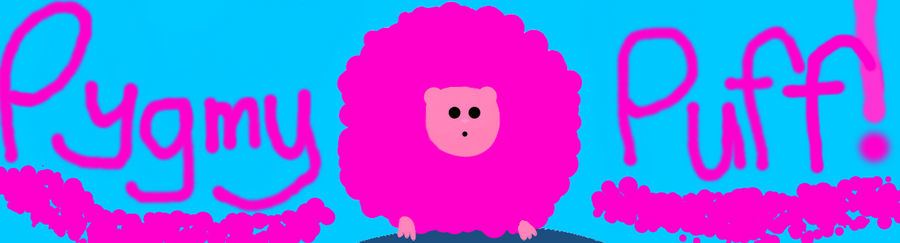 Pygmy Puff! Updated