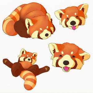 Explore the Best Red_panda Art | DeviantArt
