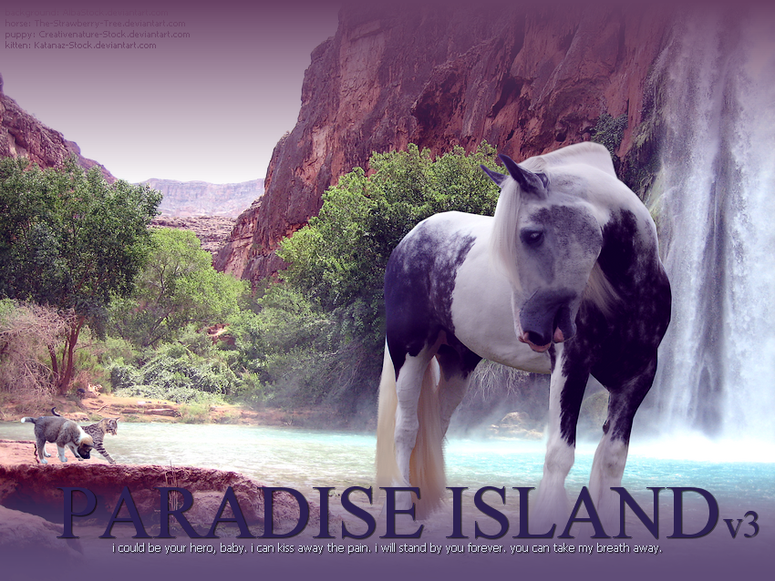 Paradise Island v3