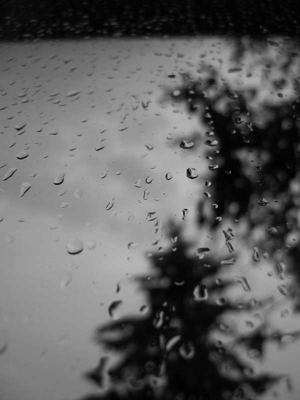 window rain 1