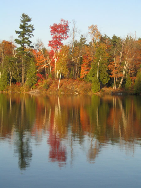 gatineau park - pink lake 4