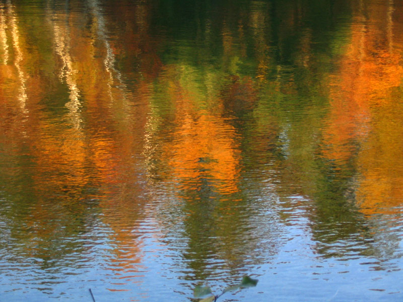 gatineau park - pink lake 8