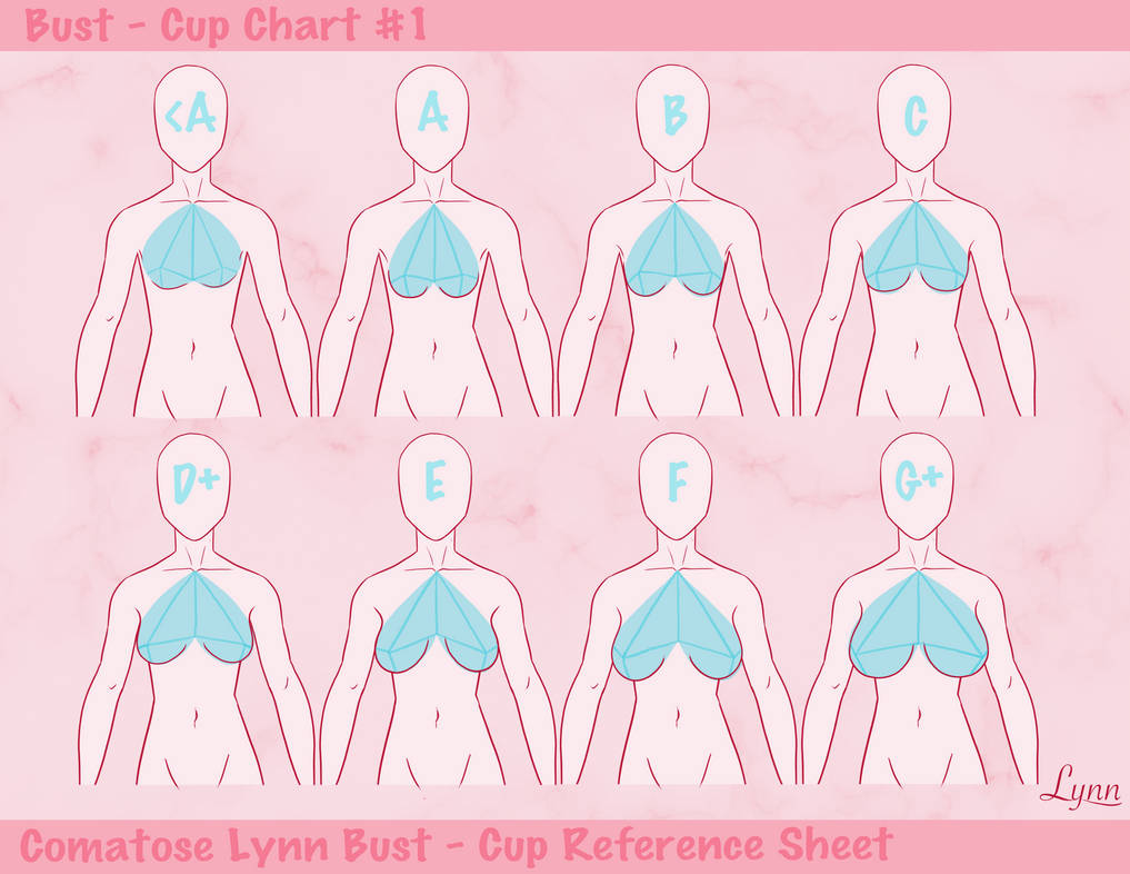 Bust - Cup Reference Sheet by ComatoseLynn on DeviantArt