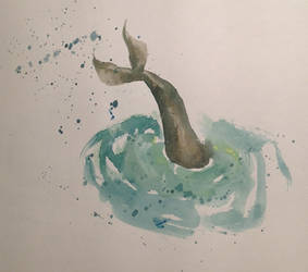 Dolphin Tail Watercolour