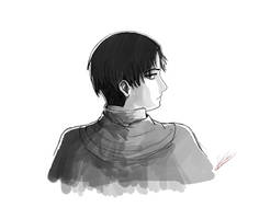 Levi Heichou