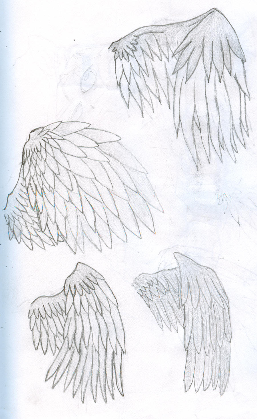 Four different types of wings