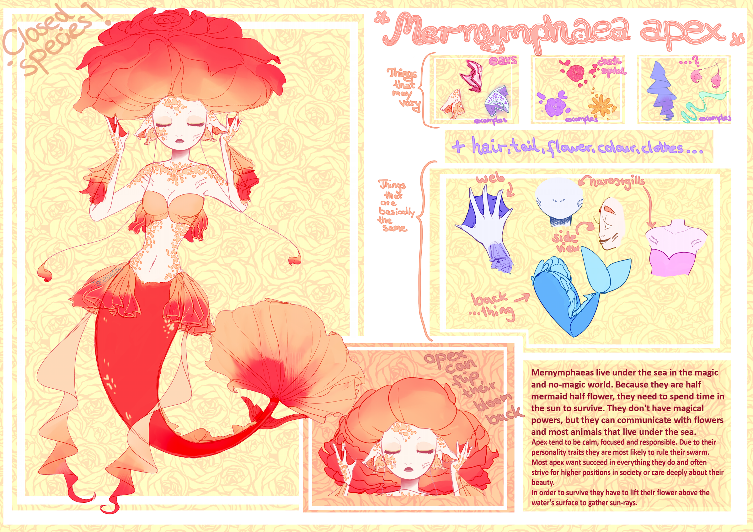 Mernymphaea apex  [Reference Sheet/Closed Species]