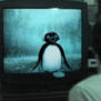 pingu