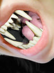 Wolf Teeth in Human Mouth Test Manipulation