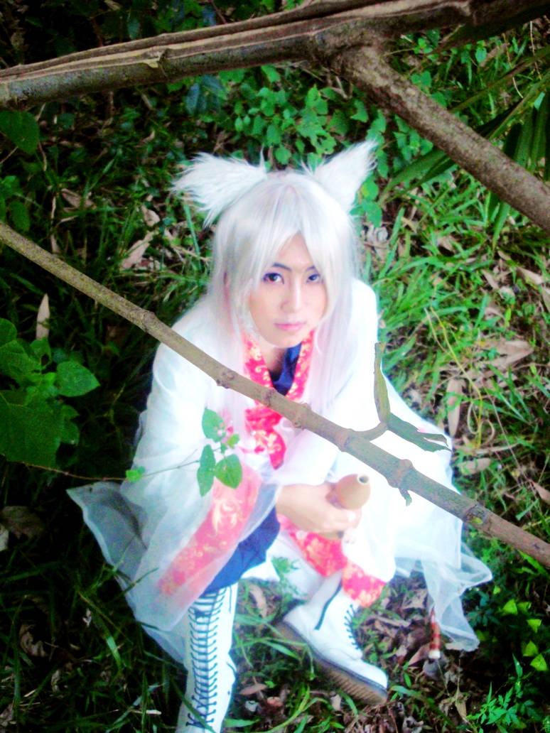 Childe Fox by Cyriling on DeviantArt