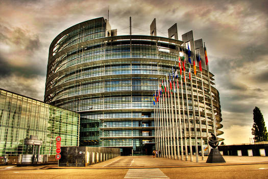 The european parliament 2008