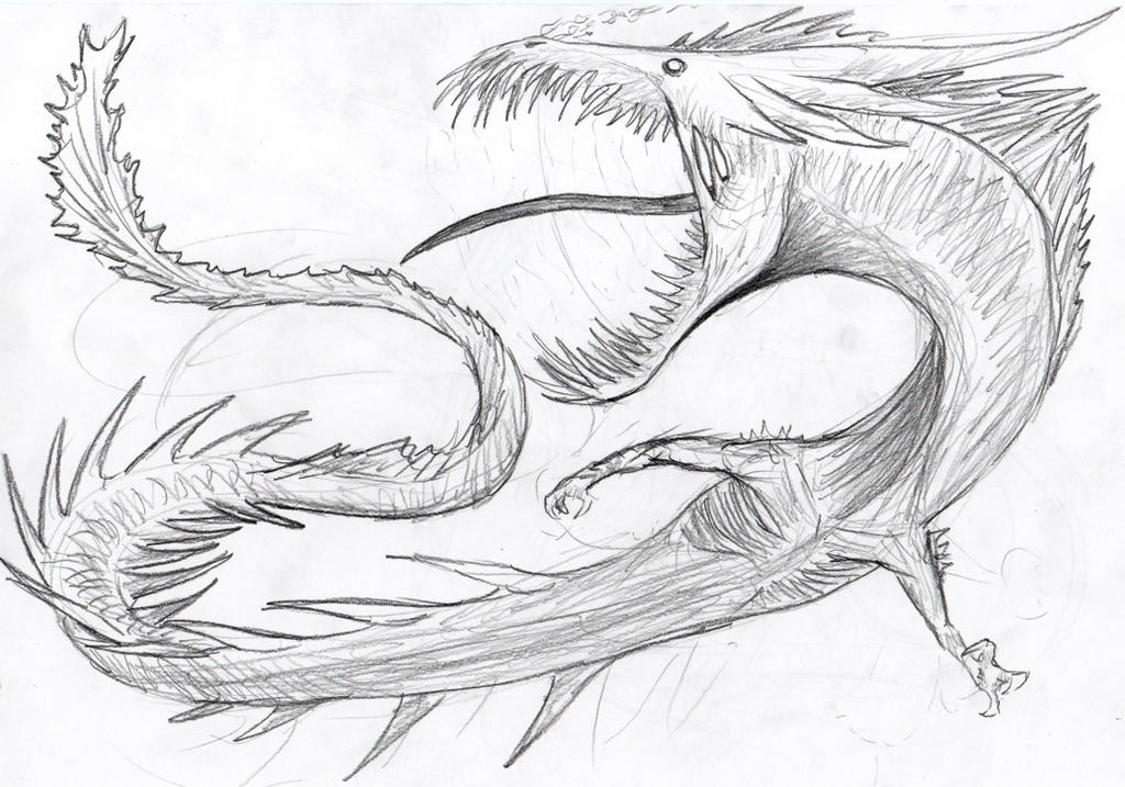 Fidi by PolandKaiju on DeviantArt