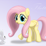 Fluttershy N' Angel