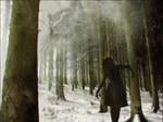 Forest wandered by NightLordTW