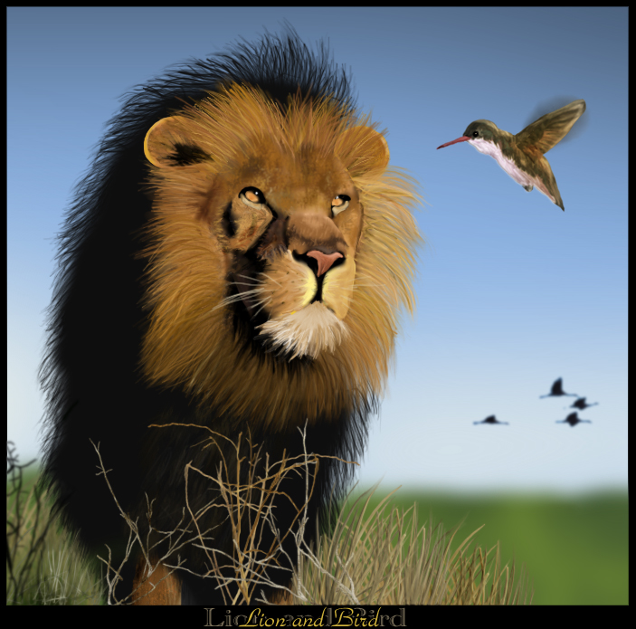 Lion and Bird by zoanoid on DeviantArt
