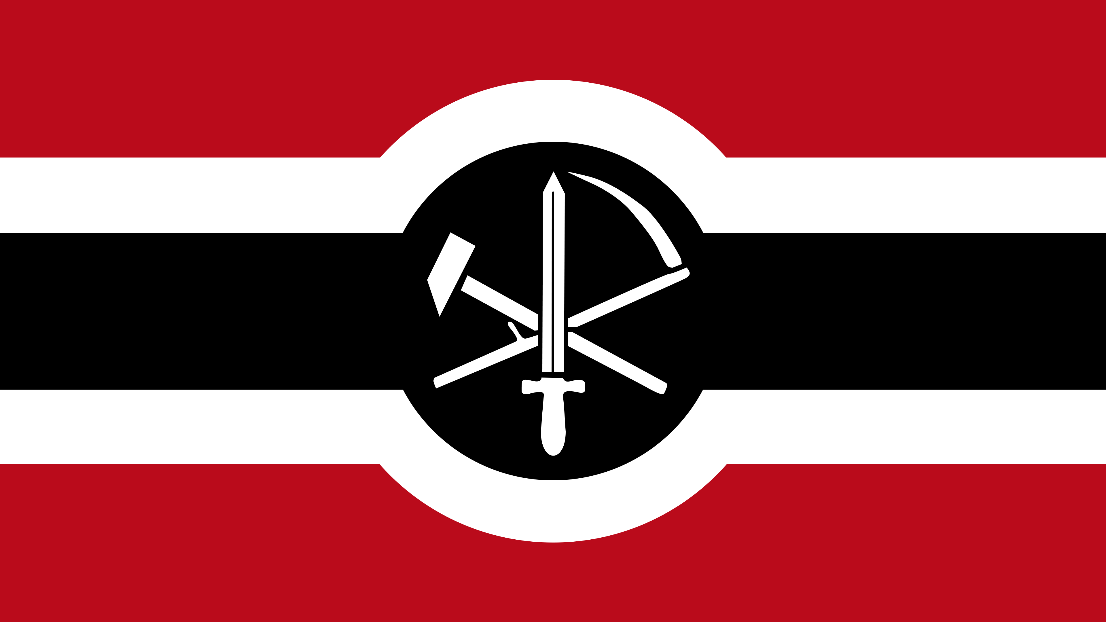 German Nazbol Flag (Karl Otto Paetel) - Variant 2 by PeterSchulzDA on ...
