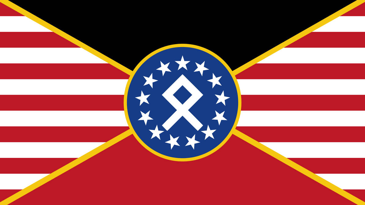 Nat. Socialist Movement Flag - Redesign by PeterSchulzDA on DeviantArt