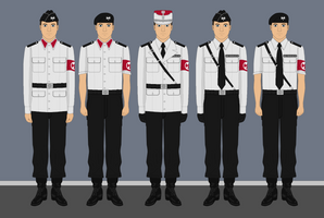 Ordosyndicalism - Polish Uniforms - Remake
