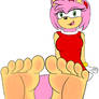 Amy Rose's Feet