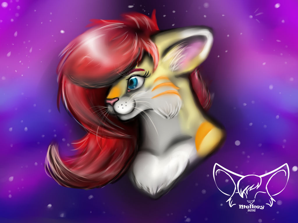 pretty kitty by melkey on DeviantArt