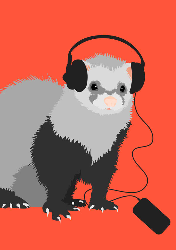 Music Loving Ferret by azzza