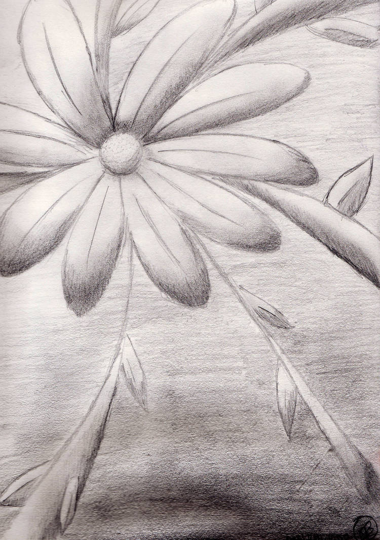 Depth Spring Art Depth Flower by CherryIda on DeviantArt