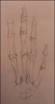 GCSE_Skeletal Hand_WIP